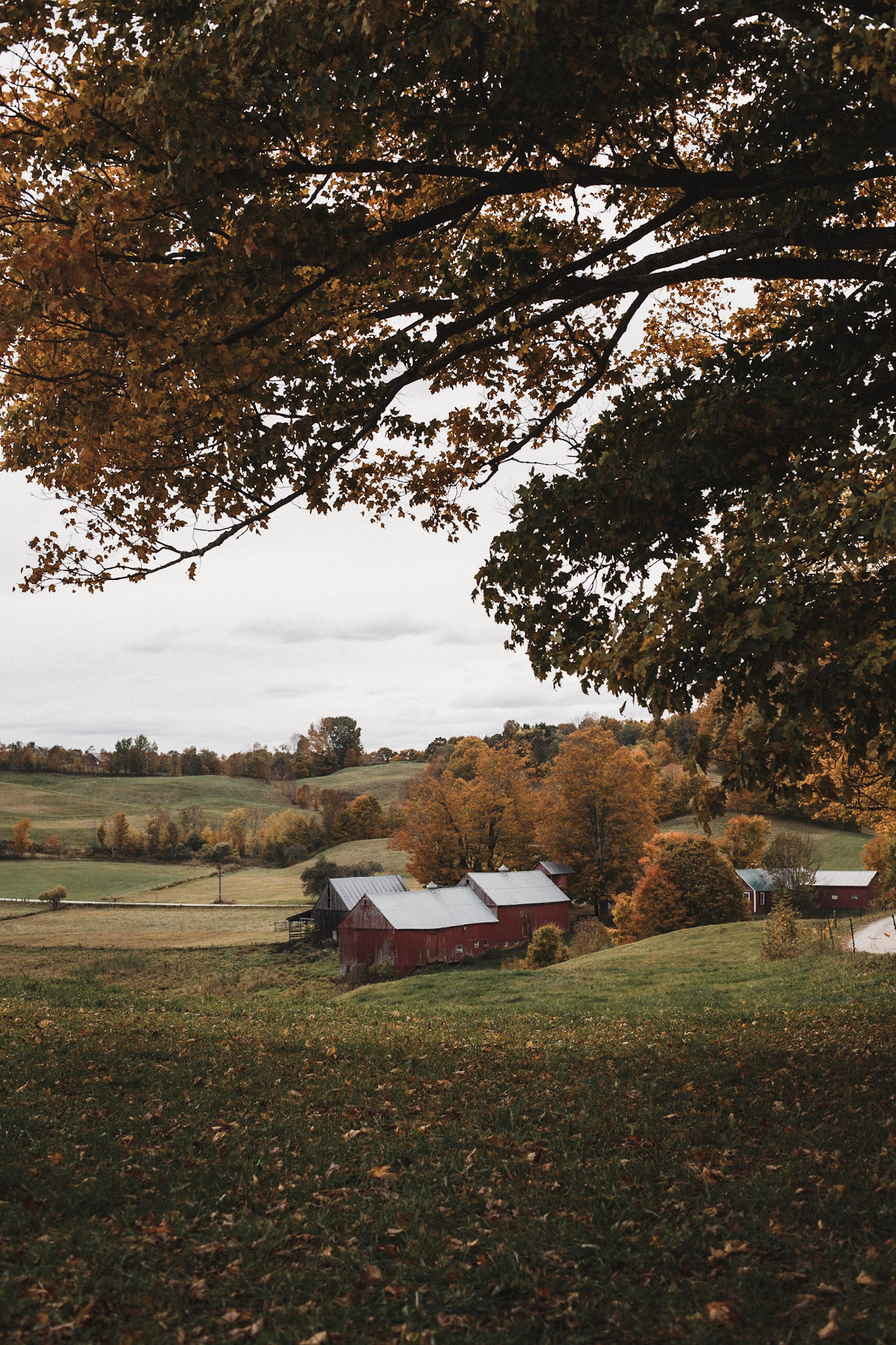 Sleepy Hollow Farm Image