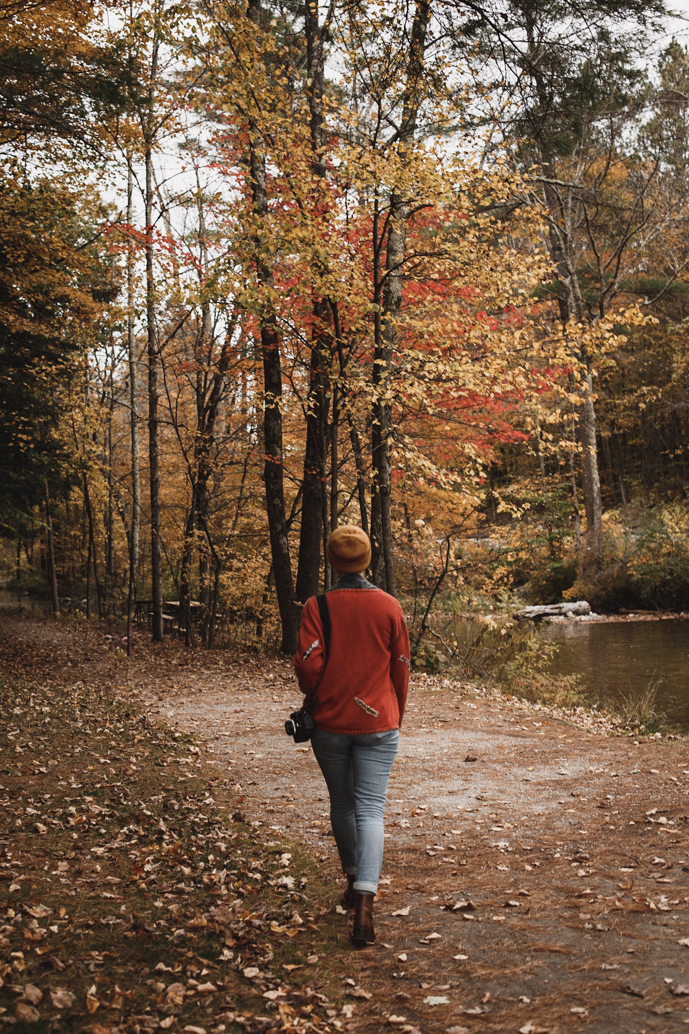 Fall Foliage Image